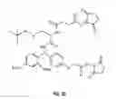 Fig. 06 - Method to determine protein interaction sites