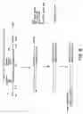 Fig. 07 - Capture compounds, collections thereof and methods for analyzing the proteome and complex compositions