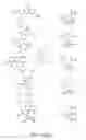 Fig. 77 - Capture compounds, collections thereof and methods for analyzing the proteome and complex compositions