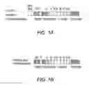Fig. 02 - Method for identifying a compound that modulates telomerase activity