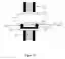 Fig. 14 - BIOSENSORS BASED ON MICROALGAE FOR THE DETECTION OF ENVIRONMENTAL POLLUTANTS