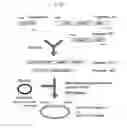 Fig. 02 - Recombinant Microorganism and a Method for Producing Poly-Gamma-Glutamic Acid