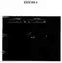 Fig. 07 - METHOD OF DNA AMPLIFICATION