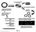 Fig. 06 - HYPERACTIVE VARIANTS OF 5-AMINOLEVULINATE SYNTHASE AND METHODS OF USE