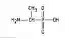 Fig. 01 - Selective growth media