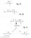 Fig. 02 - Selective growth media