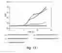 Fig. 05 - Selective growth media