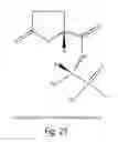 Fig. 12 - Selective growth media
