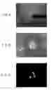 Fig. 07 - NEEDLE