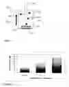 Fig. 13 - Particle facilitated testing