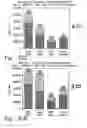 Fig. 40 - METHODS FOR GENERATING HIGH TITER HELPER-FREE PREPARATIONS OF RELEASED RECOMBINANT AAV VECTORS