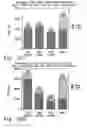 Fig. 41 - METHODS FOR GENERATING HIGH TITER HELPER-FREE PREPARATIONS OF RELEASED RECOMBINANT AAV VECTORS