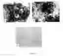Fig. 08 - Synthetic Surfaces for Differentiating Stem Cells into Cardiomyocytes