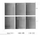 Fig. 17 - Synthetic Surfaces for Differentiating Stem Cells into Cardiomyocytes