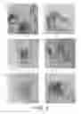 Fig. 07 - Method for isolation of inner cell mass and method of preparation of embryonic stem cell lines using inner cell mass isolated by the same