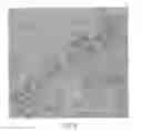 Fig. 09 - Method for isolation of inner cell mass and method of preparation of embryonic stem cell lines using inner cell mass isolated by the same