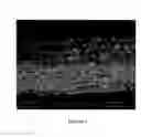 Fig. 02 - Biomaterial