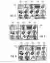 Fig. 07 - Gaming system having configurable mechanical reels