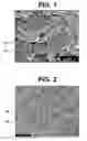 Fig. 02 - Products produced by a process for diffusing titanium and nitride into a material having generally compact, granular microstructure