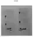 Fig. 08 - Adsorbents for Radioisotopes, Preparation Method Thereof, and Radioisotope Generators Using the Same