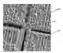 Fig. 01 - Material exhibiting superconductivity characteristics and method of manufacture thereof