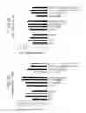 Fig. 13 - PROCESS FOR ANTIBODY PRODUCTION