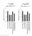 Fig. 24 - PROCESS FOR ANTIBODY PRODUCTION
