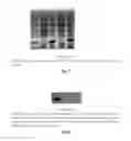 Fig. 06 - Crystal structure of CD147 extracellular region and use thereof