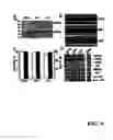 Fig. 05 - G-protein coupled receptor kinase-5 polymorphism