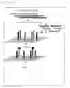 Fig. 04 - Method for Selective Labeling and Detection of Target Nucleic Acids Using Immobilized Peptide Nucleic Acid Probes