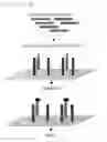 Fig. 05 - Method for Selective Labeling and Detection of Target Nucleic Acids Using Immobilized Peptide Nucleic Acid Probes