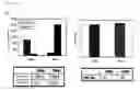 Fig. 08 - Method for Selective Labeling and Detection of Target Nucleic Acids Using Immobilized Peptide Nucleic Acid Probes