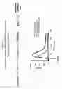 Fig. 02 - High Throughput Screening Assay for the TRPM5 Ion Channel
