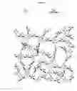 Fig. 02 - Biogel