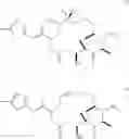 Fig. 02 - EPOTHILONE GLYCOSIDE AND USE THEREOF