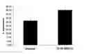 Fig. 01 - Method for inducing hepatocyte proliferation and uses thereof