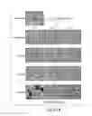 Fig. 26 - Biaryl compositions and methods for modulating a kinase cascade
