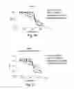 Fig. 31 - Biaryl compositions and methods for modulating a kinase cascade