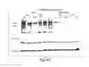 Fig. 48 - Biaryl compositions and methods for modulating a kinase cascade
