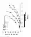 Fig. 04 - Apoptosis promoters
