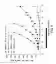 Fig. 05 - Apoptosis promoters