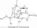 Fig. 02 - Stable pharmaceutical composition of freeze-dried tetrodoxin powder