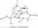 Fig. 06 - Stable pharmaceutical composition of freeze-dried tetrodoxin powder