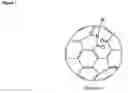 Fig. 02 - Compounds and formulations suitable for radical scavenging