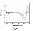 Fig. 06 - Dicationic compounds which selectively recognize G-quadruplex DNA