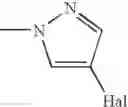 Fig. 08 - N-Methyl benzamide derivatives
