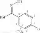 Fig. 84 - N-Methyl benzamide derivatives