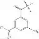 Fig. 12 - Modified lysine-mimetic compounds