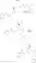 Fig. 26 - Modified lysine-mimetic compounds