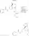 Fig. 41 - Modified lysine-mimetic compounds